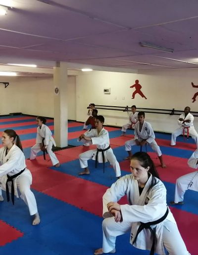 Dojo Photo of Class in Session 2