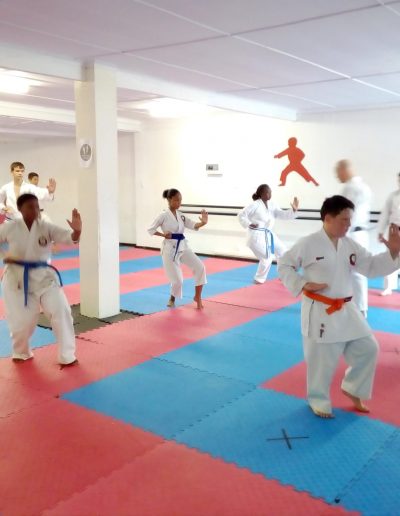 Dojo Photo of Class in Session